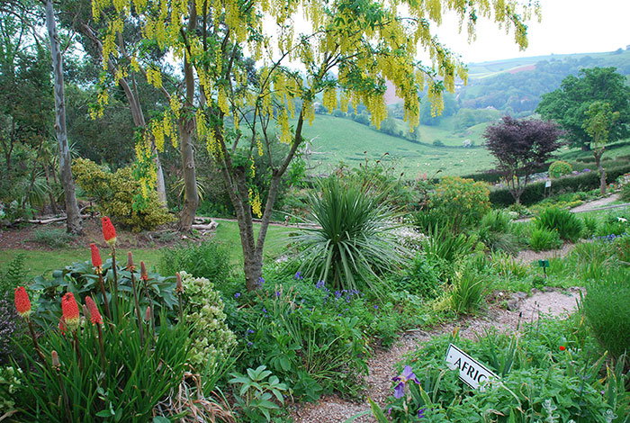 African Garden at Plant World Gardens