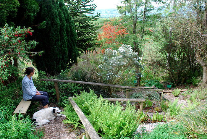 American Garden at Plant World Gardens