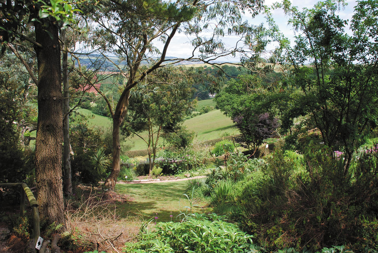 Australian Garden at Plant World Gardens