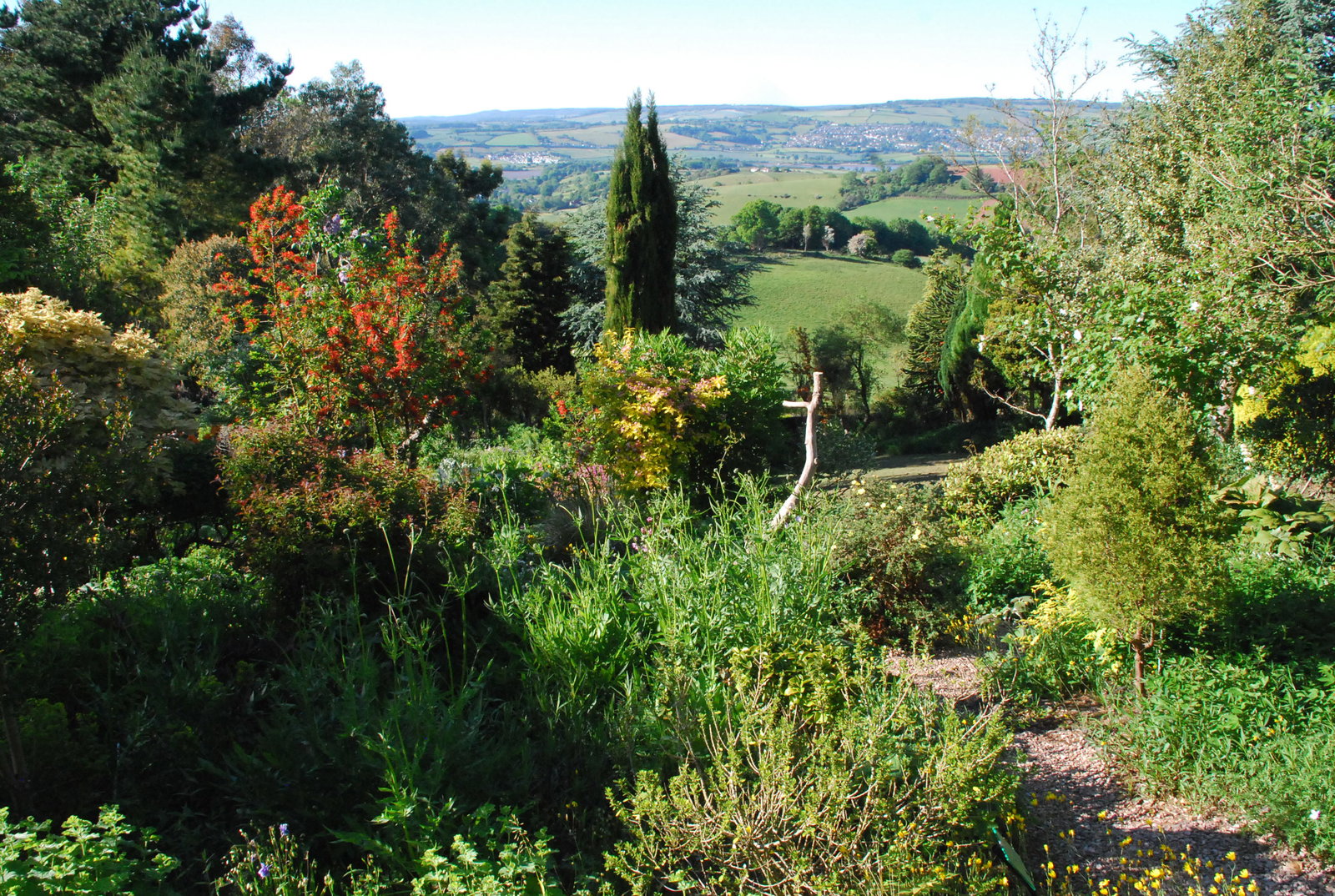 Plant World Gardens in summer colour