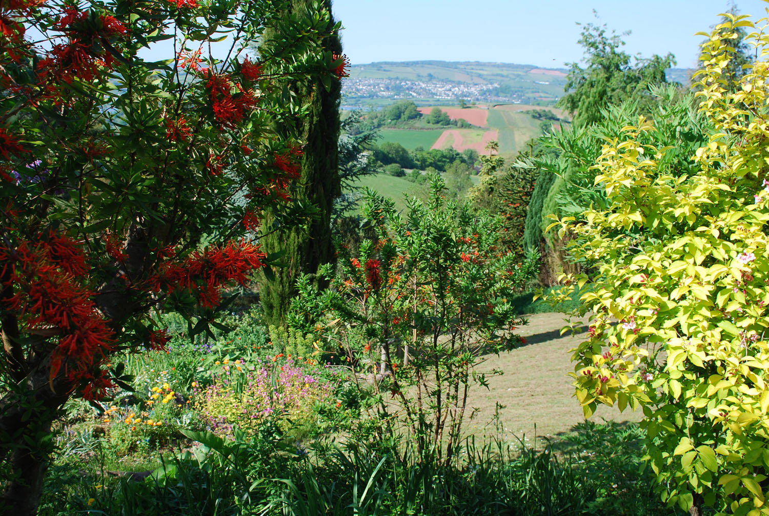 The Cottage Garden at Plant World Gardens