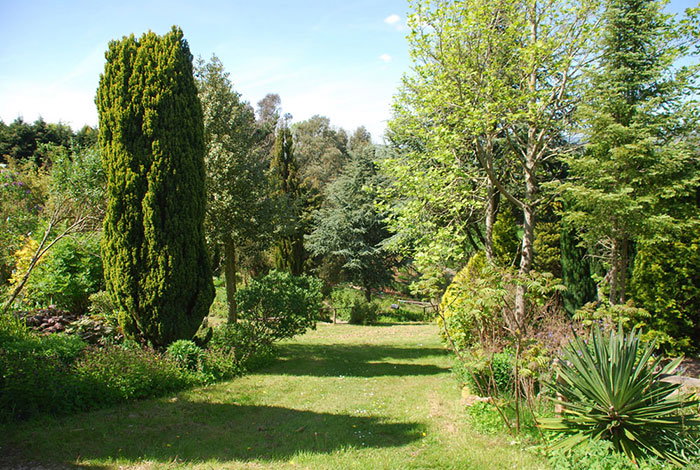 Atlantic planting at Plant World Gardens