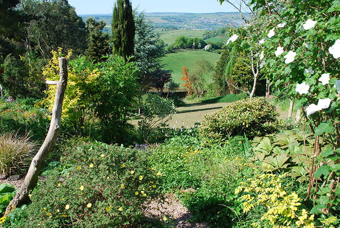 Cottage garden colour at Plant World Gardens