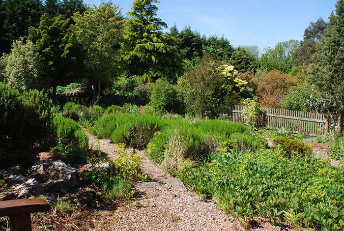 Hot and herby planting at Plant World Gardens