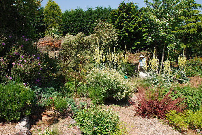 Mediterranean borders at Plant World Gardens
