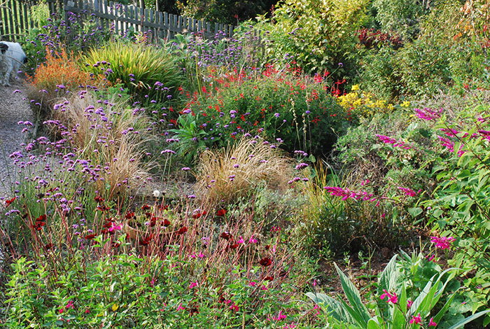 Late-season colour at Plant World Gardens