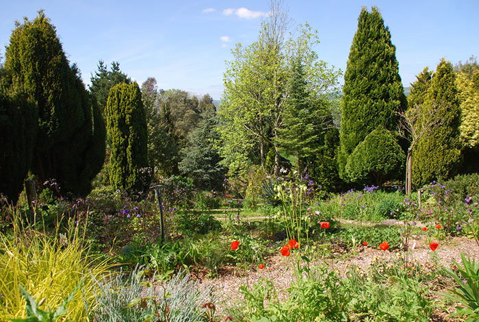 Hilltop garden views at Plant World Gardens