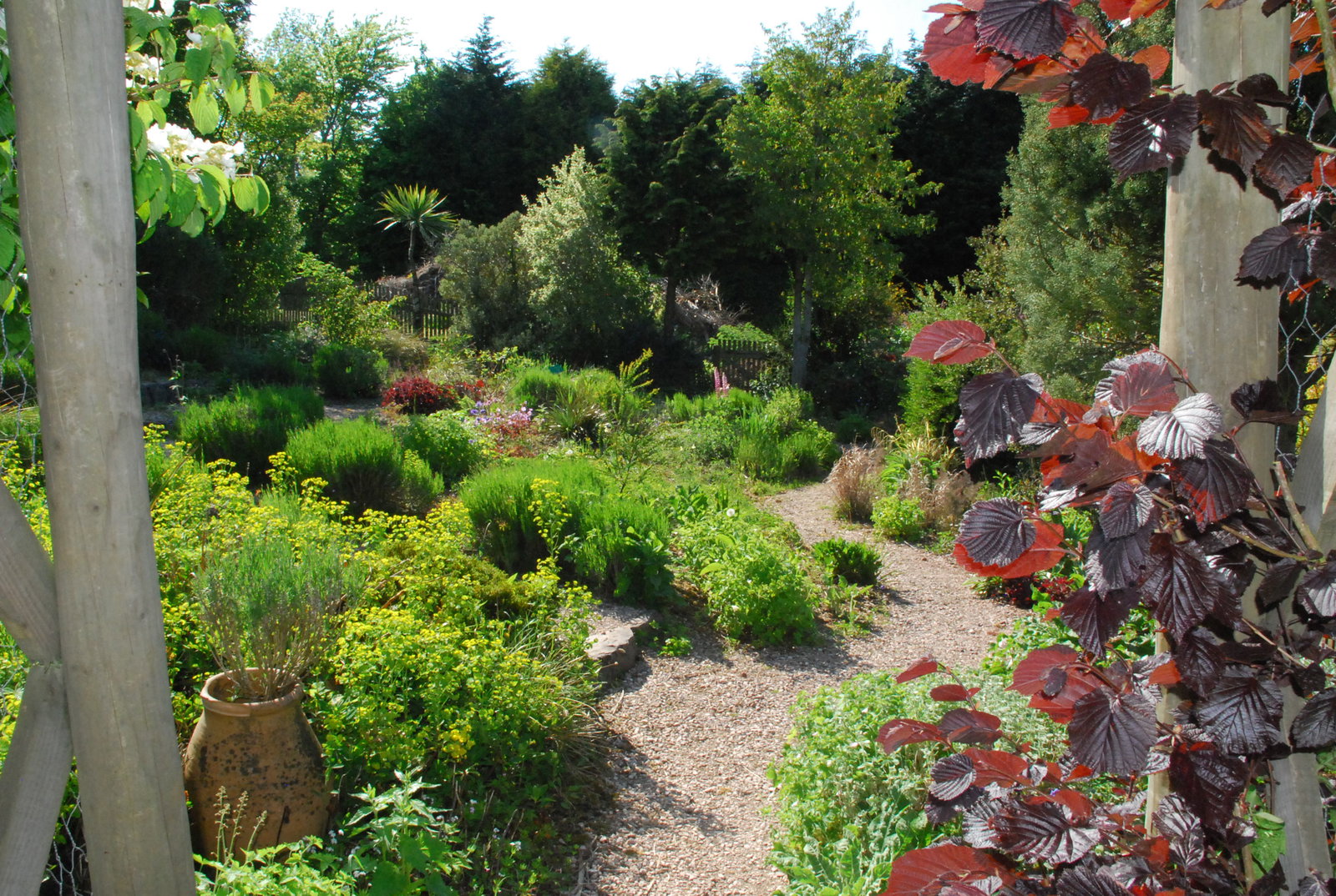 The Hot Garden at Plant World Gardens