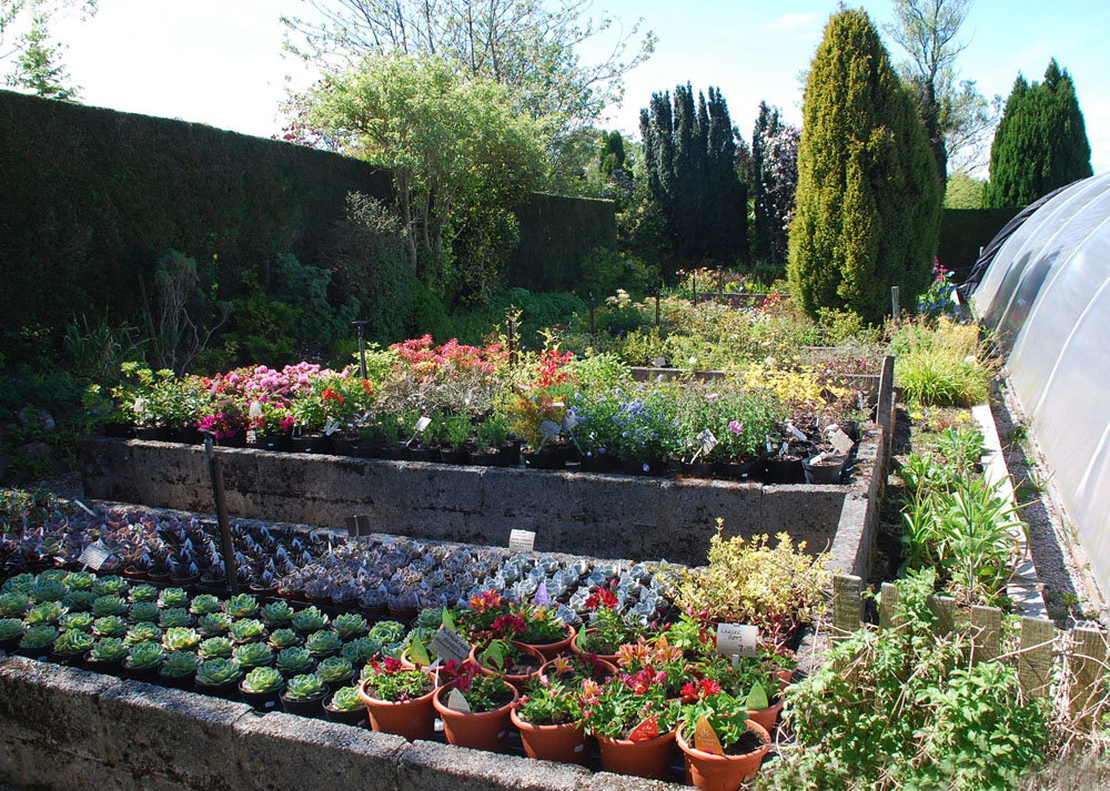 Outdoor plant benches in the nursery