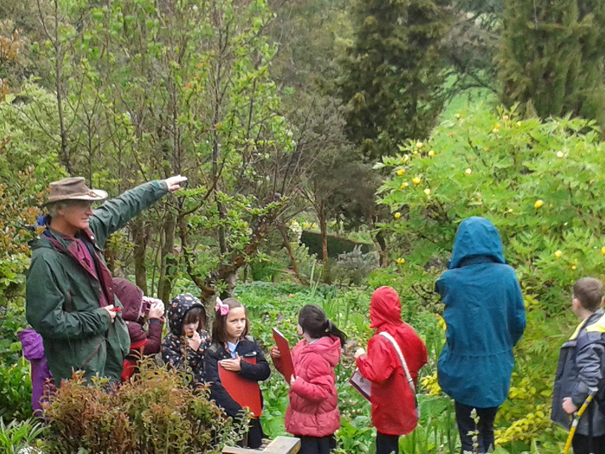 Visitors enjoying a group garden visit