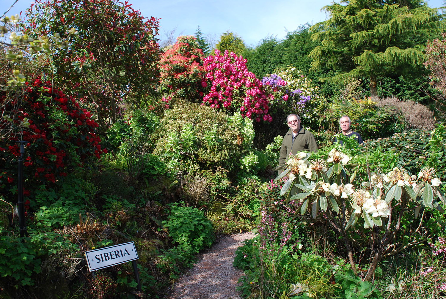 Siberian Garden at Plant World Gardens